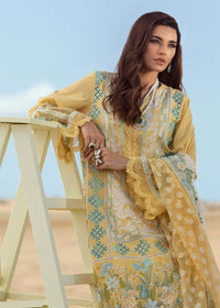 Regal Chikankari Lawn & Jacquard Ensemble | Cutwork Dupatta with Attached Pallus | Unstitched 3PC