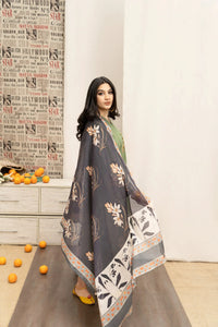 Luxury Winter Dhanak Embroidered 3PC | Wool Shawl Dupatta & Embroidered Trouser Ensemble