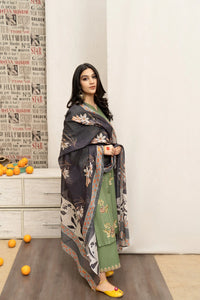 Luxury Winter Dhanak Embroidered 3PC | Wool Shawl Dupatta & Embroidered Trouser Ensemble